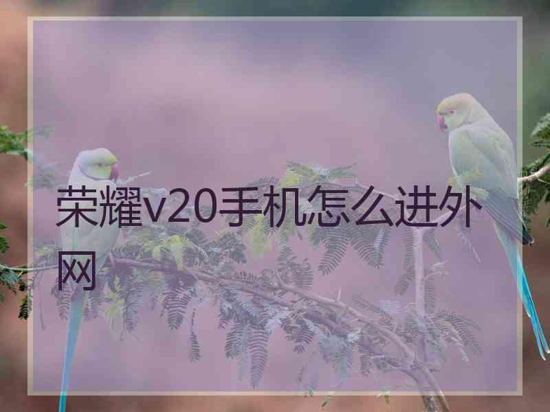 荣耀v20手机怎么进外网