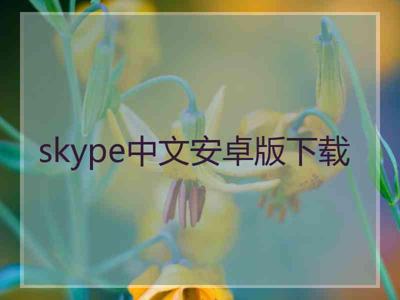 skype中文安卓版下载