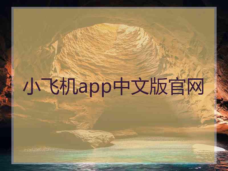 小飞机app中文版官网