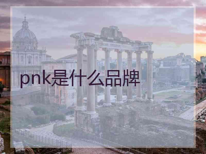 pnk是什么品牌