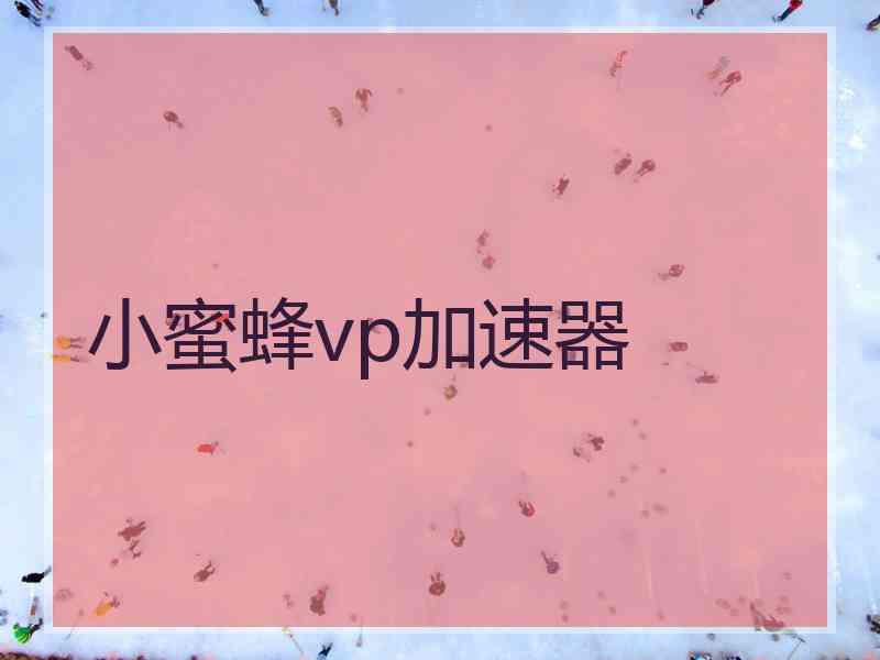 小蜜蜂vp加速器