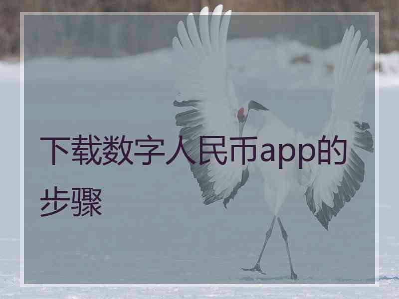 下载数字人民币app的步骤