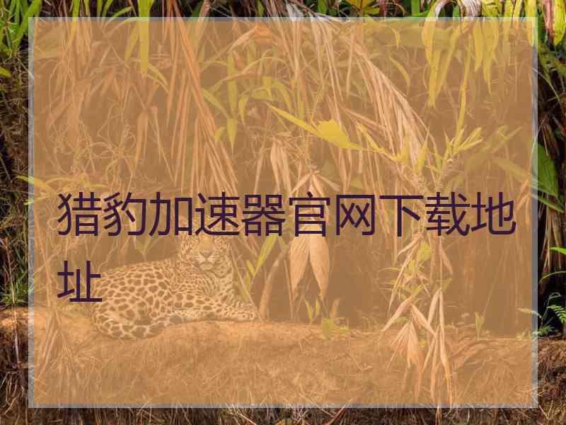 猎豹加速器官网下载地址