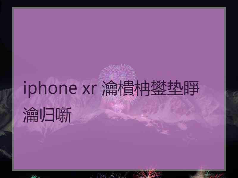 iphone xr 瀹樻柟鐢垫睜瀹归噺