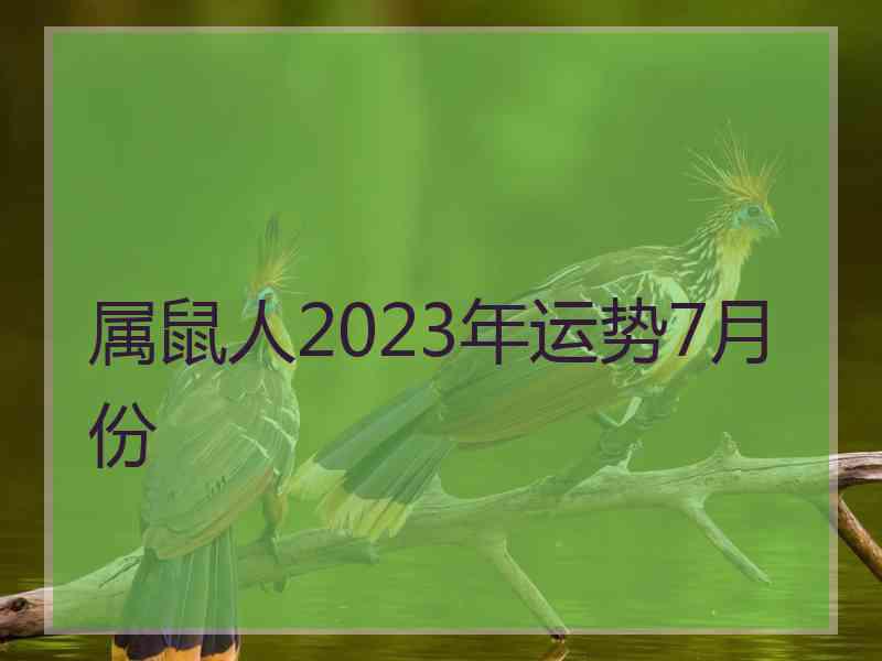 属鼠人2023年运势7月份