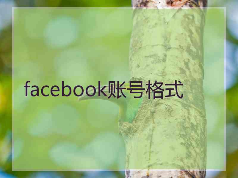 facebook账号格式