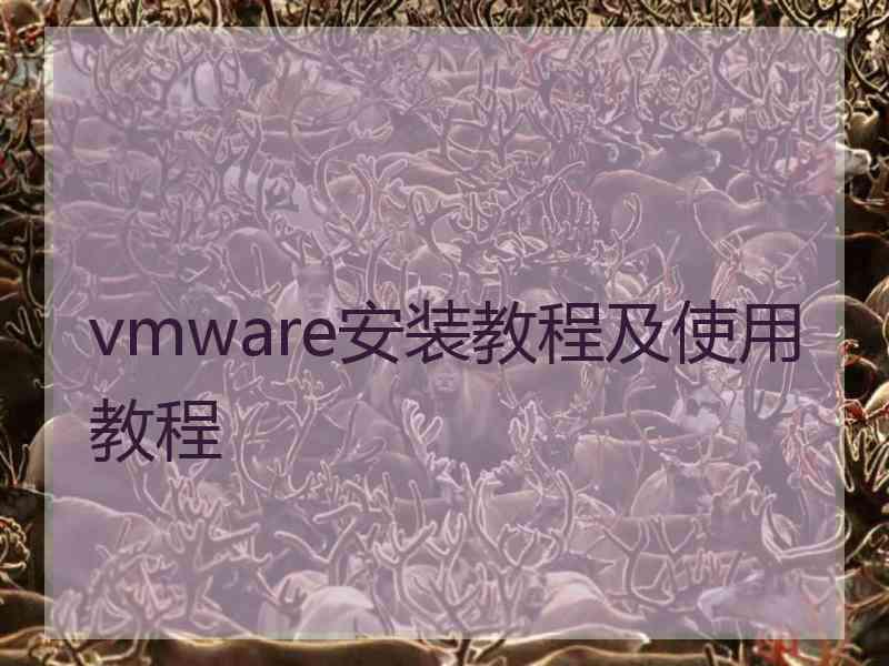 vmware安装教程及使用教程