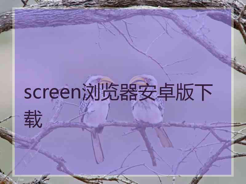 screen浏览器安卓版下载