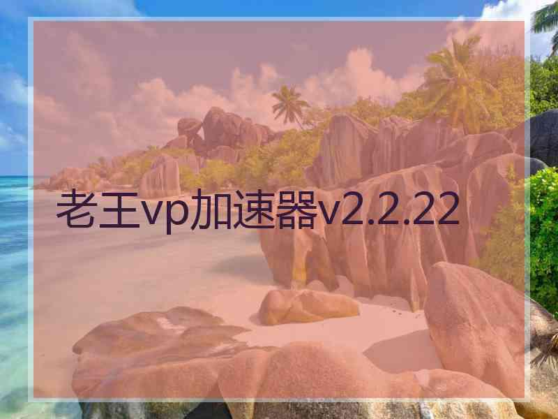 老王vp加速器v2.2.22