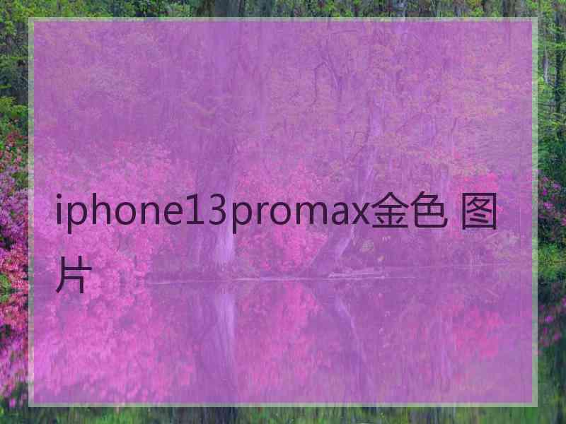 iphone13promax金色 图片