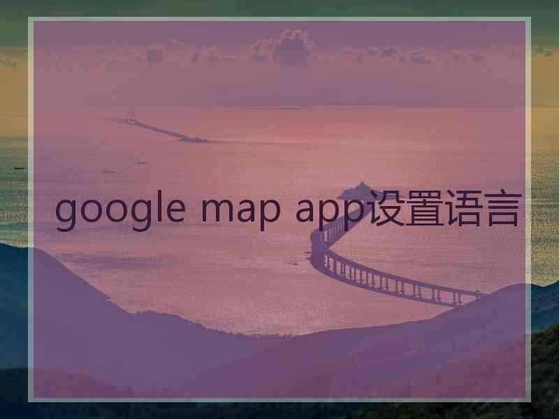 google map app设置语言