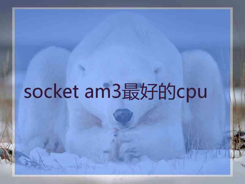 socket am3最好的cpu