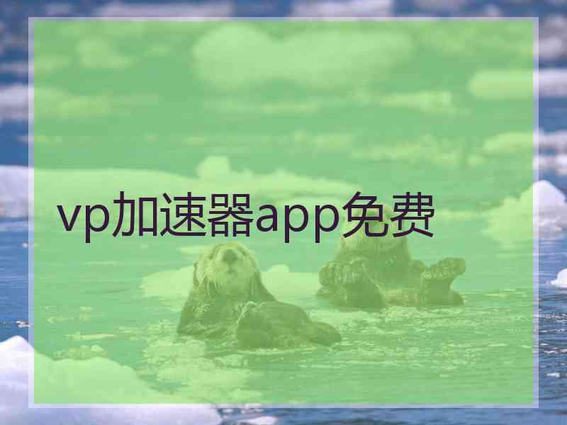 vp加速器app免费