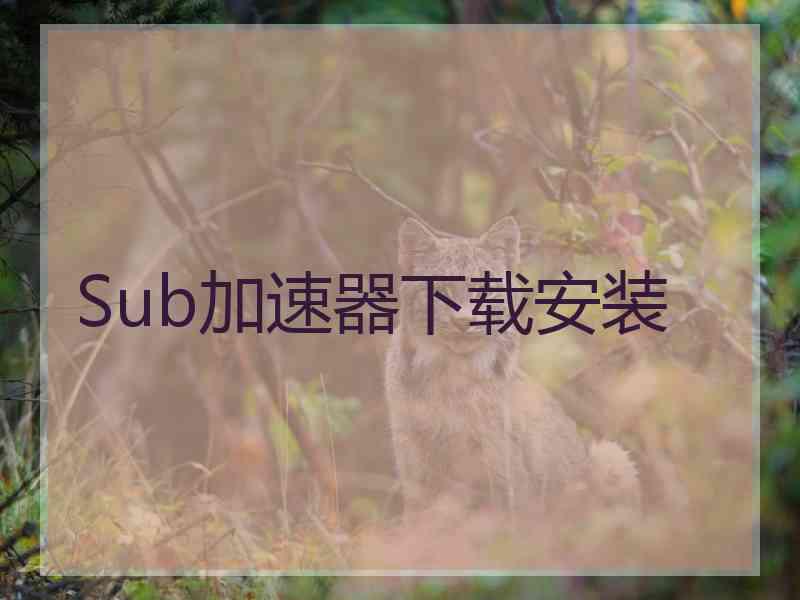 Sub加速器下载安装