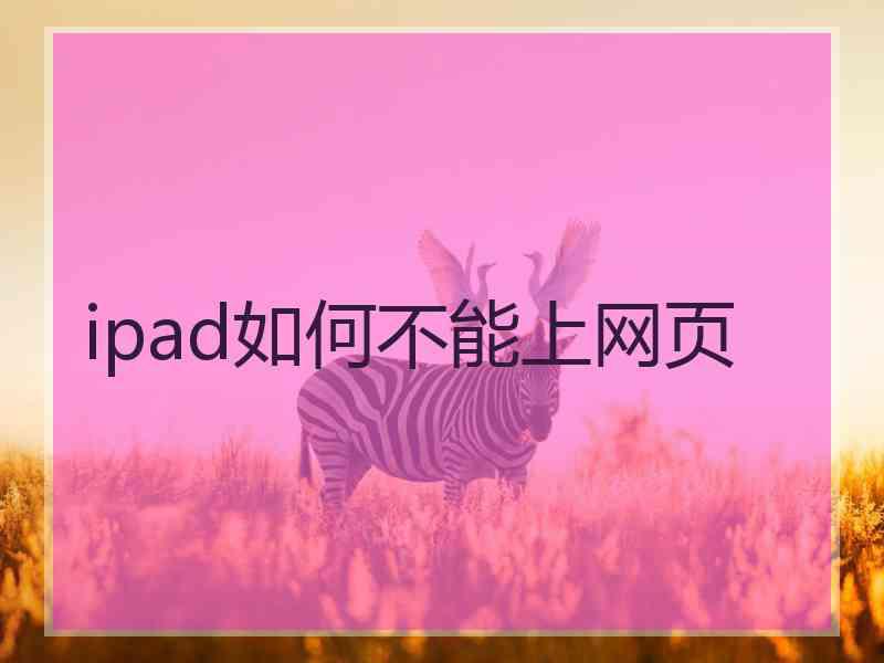 ipad如何不能上网页