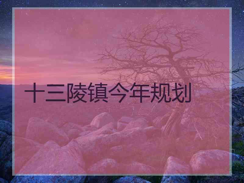 十三陵镇今年规划