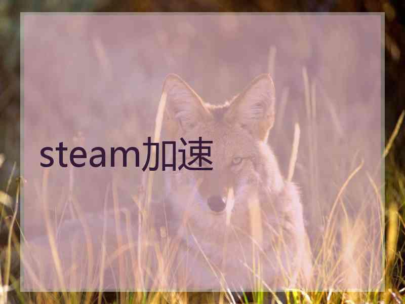 steam加速