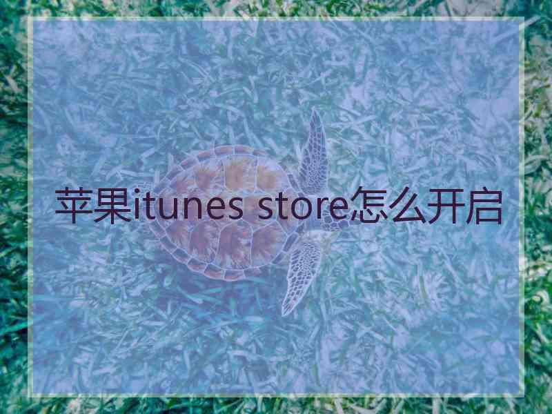 苹果itunes store怎么开启