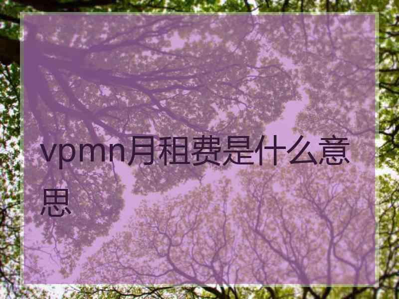 vpmn月租费是什么意思