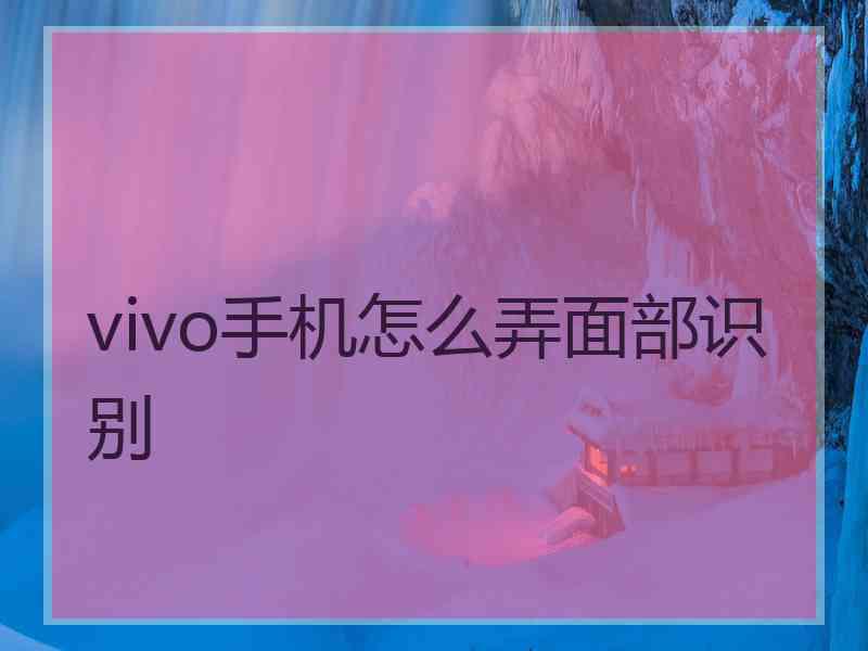 vivo手机怎么弄面部识别