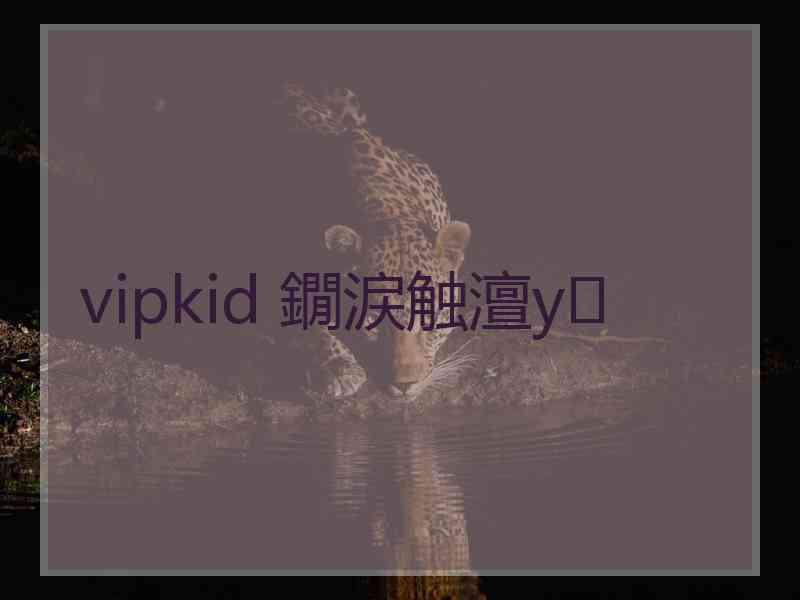 vipkid 鐗涙触澶у