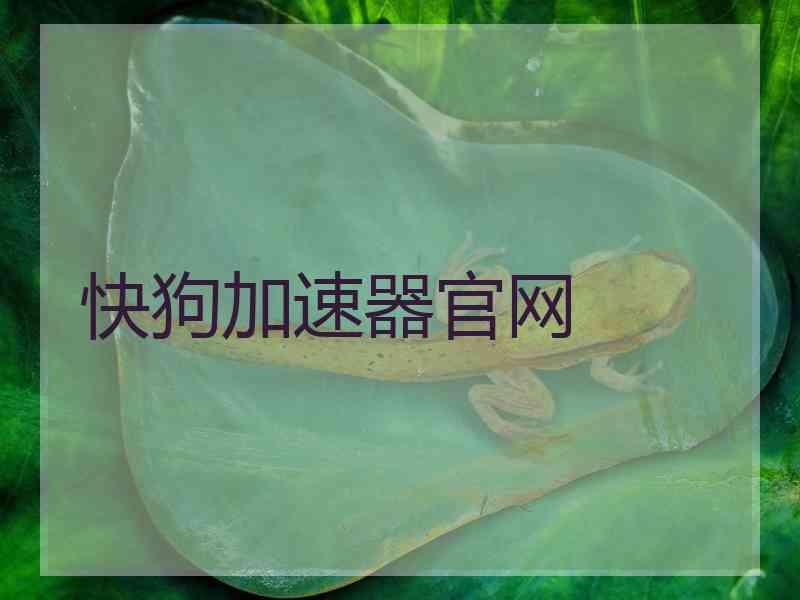 快狗加速器官网