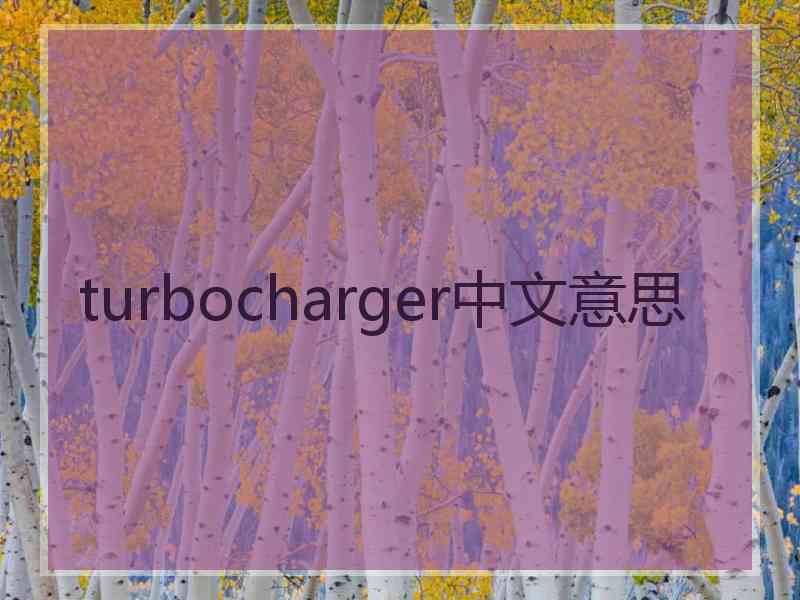 turbocharger中文意思