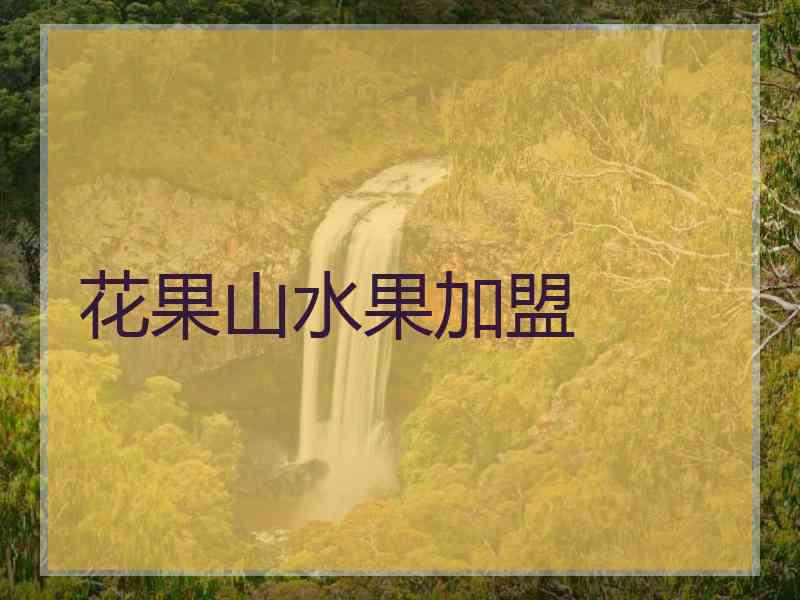 花果山水果加盟