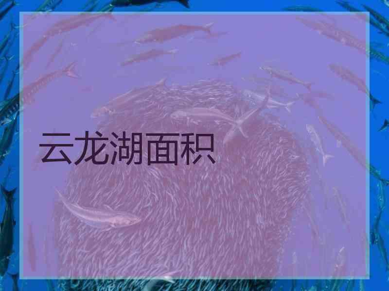 云龙湖面积