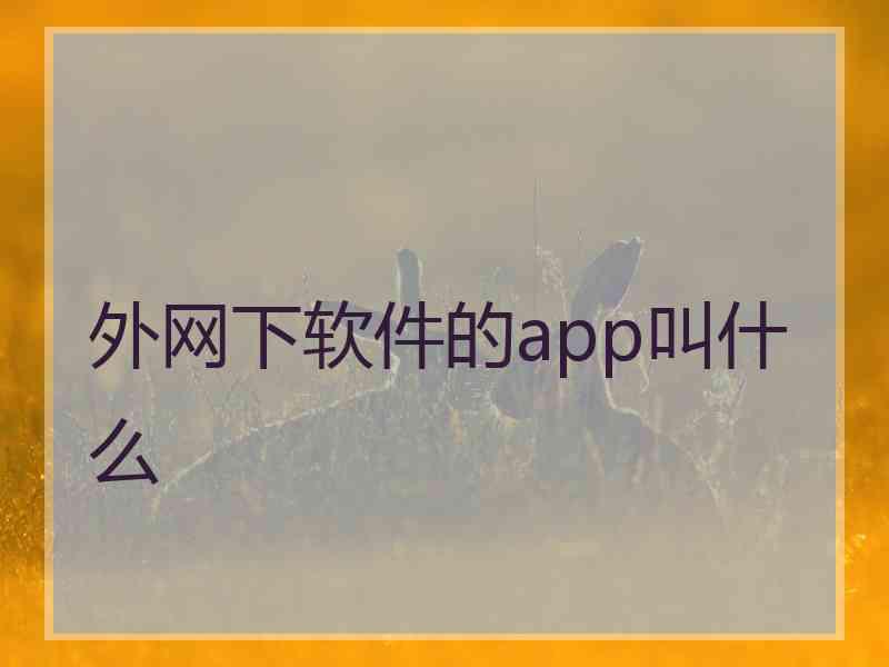 外网下软件的app叫什么