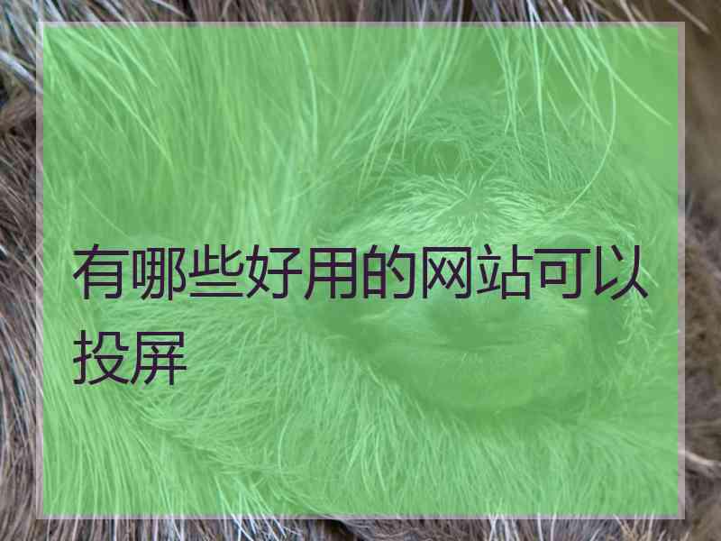 有哪些好用的网站可以投屏