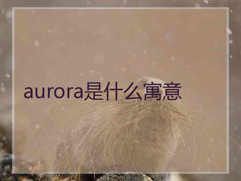 aurora是什么寓意