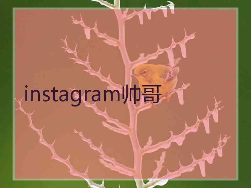 instagram帅哥