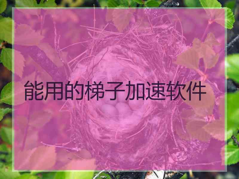 能用的梯子加速软件