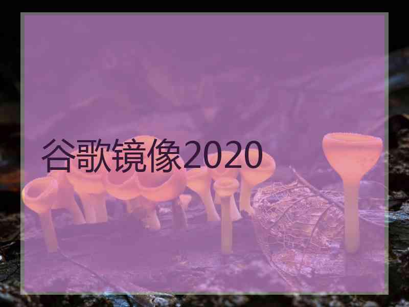 谷歌镜像2020