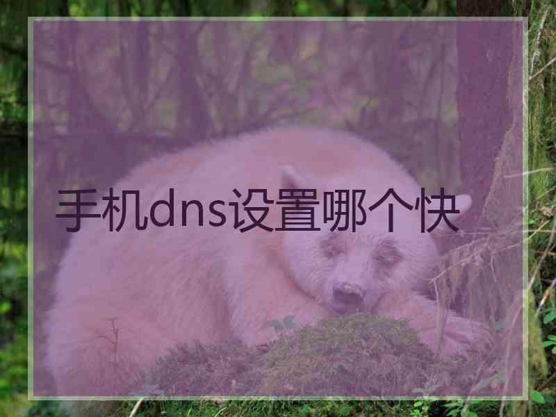 手机dns设置哪个快