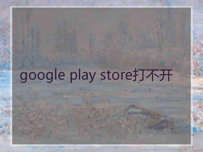 google play store打不开