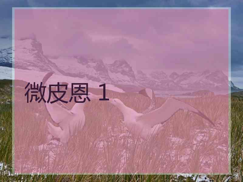 微皮恩 1