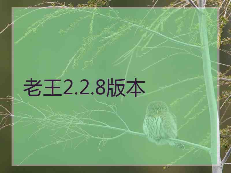 老王2.2.8版本