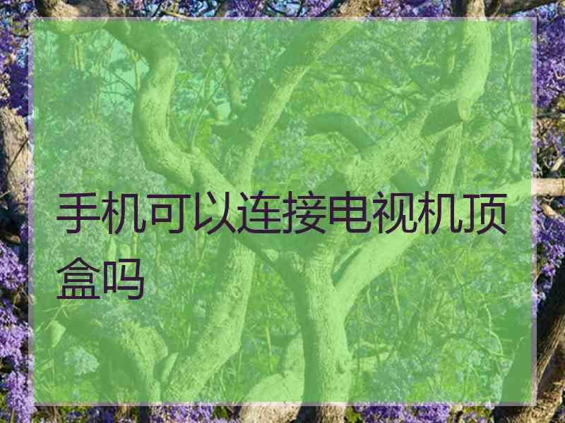 手机可以连接电视机顶盒吗