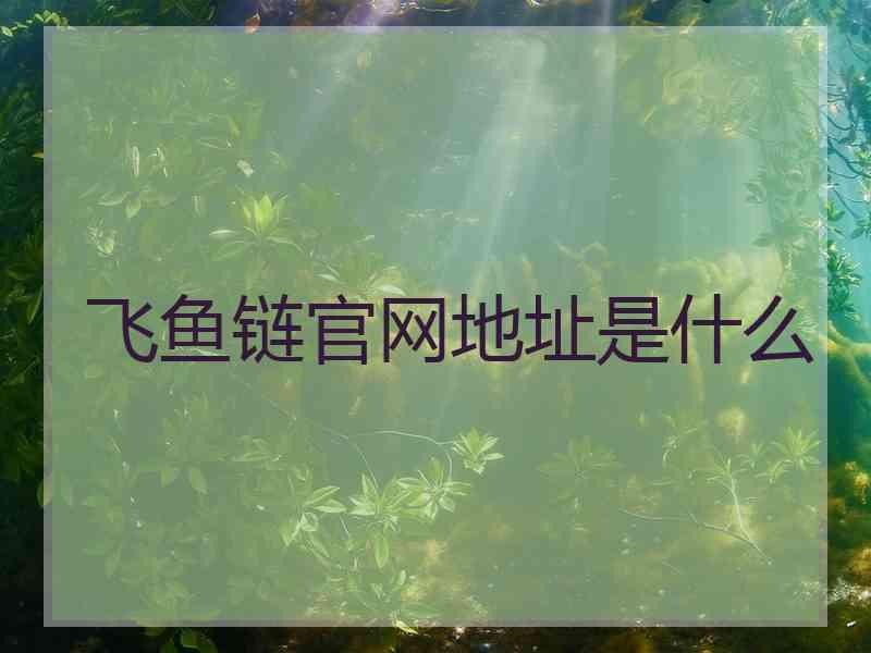 飞鱼链官网地址是什么