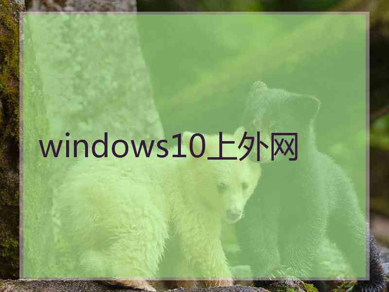 windows10上外网