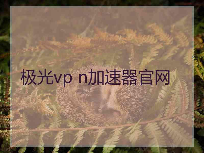 极光vp n加速器官网