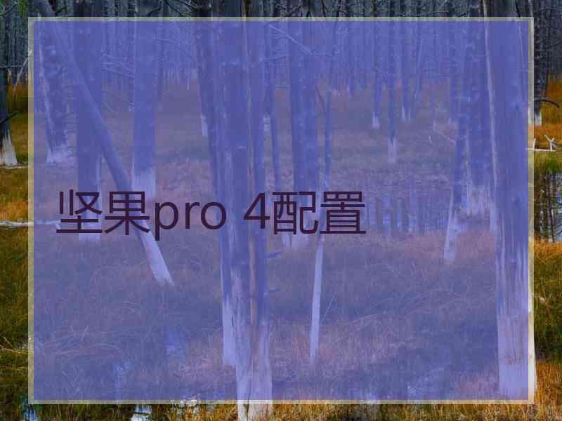 坚果pro 4配置