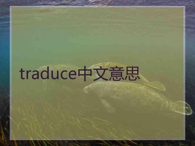 traduce中文意思