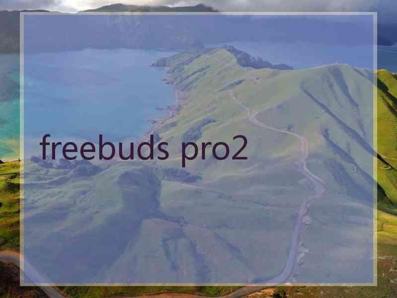 freebuds pro2