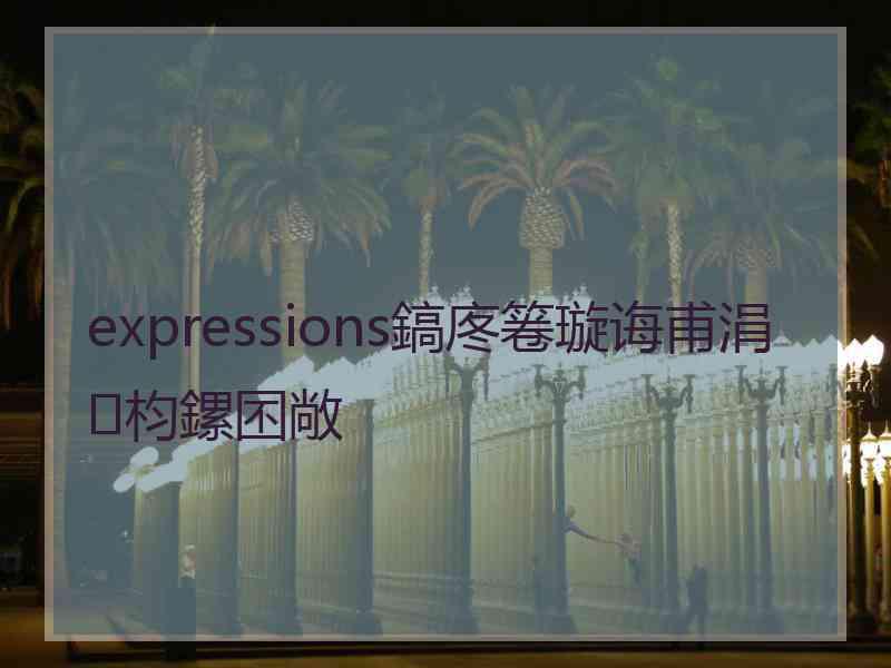 expressions鎬庝箞璇诲甫涓枃鏍囨敞