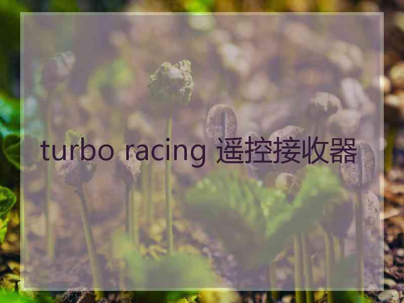 turbo racing 遥控接收器