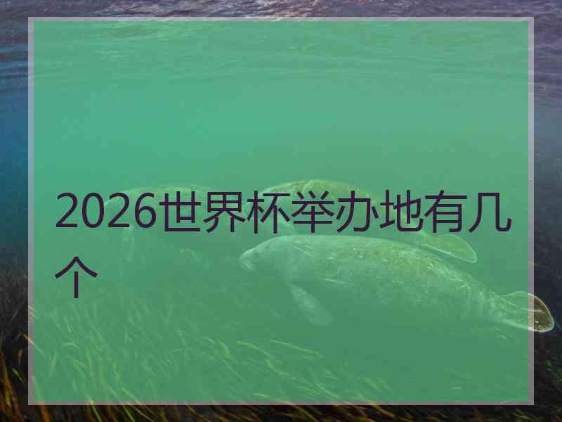 2026世界杯举办地有几个