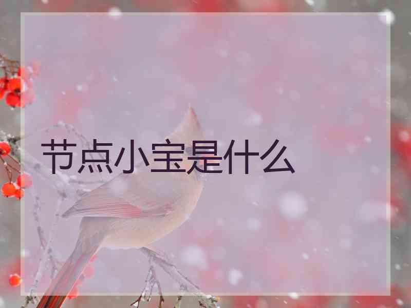 节点小宝是什么